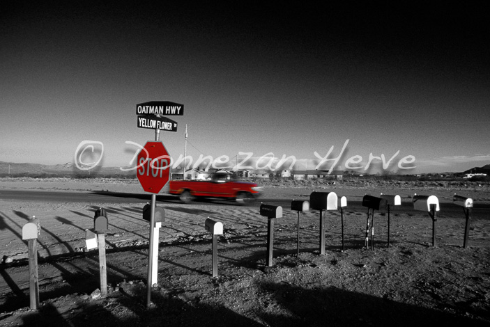 4341_17549_ROUTE66_BN