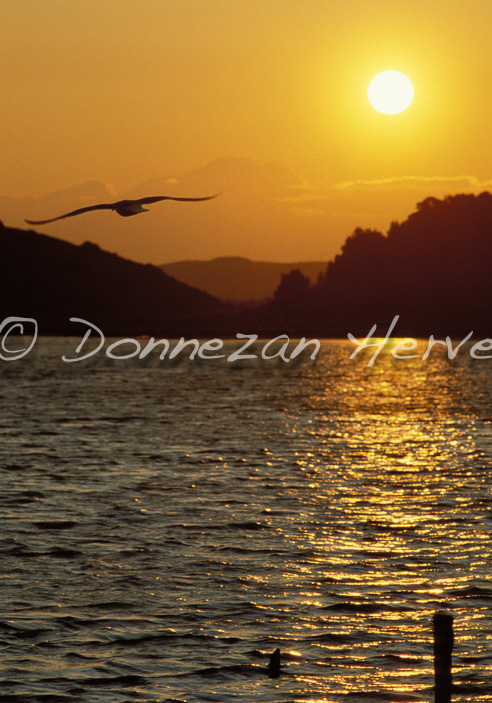 0227 SUNSET MOUETTE_28x40