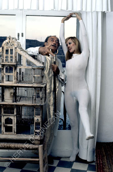 2493_17435_DALI_CAGE_A4