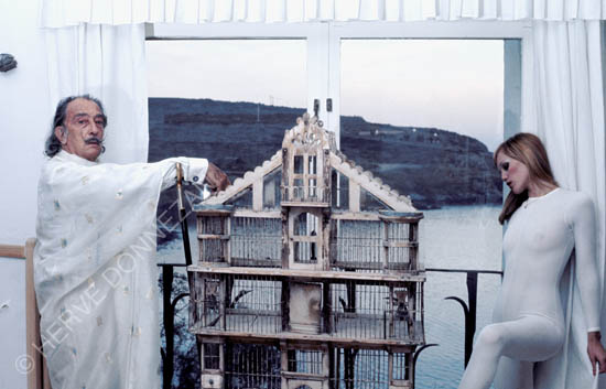 2598_1009_DALI CAGE_A4